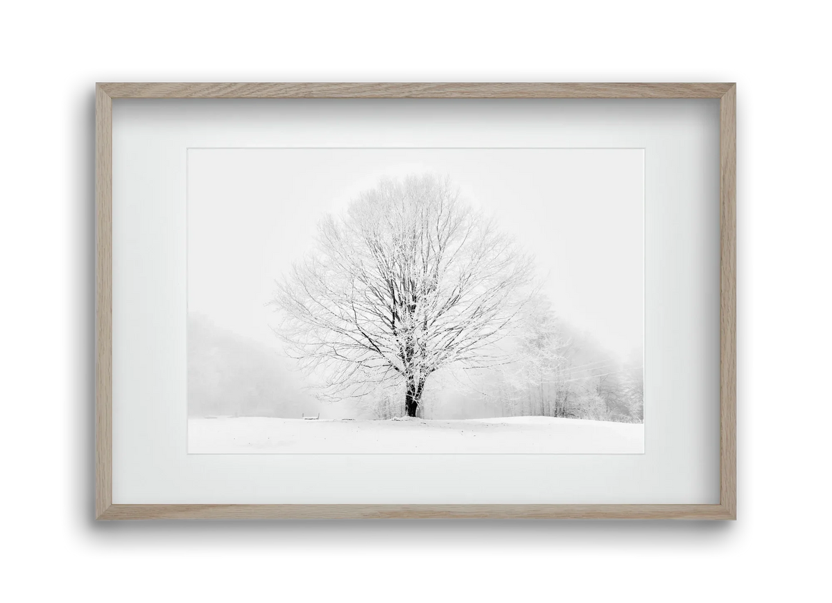 CONTRAST - artbridge