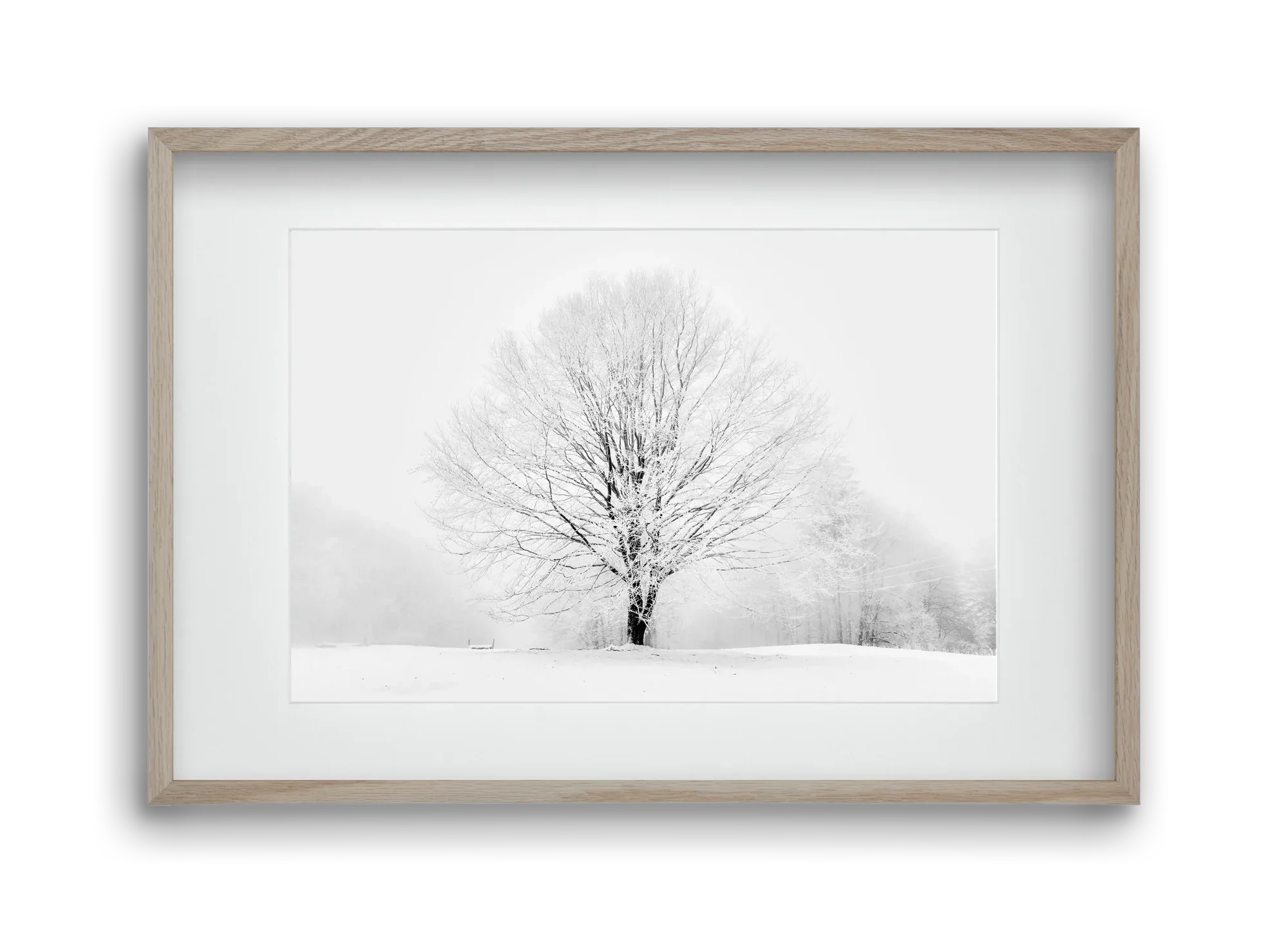 CONTRAST - artbridge
