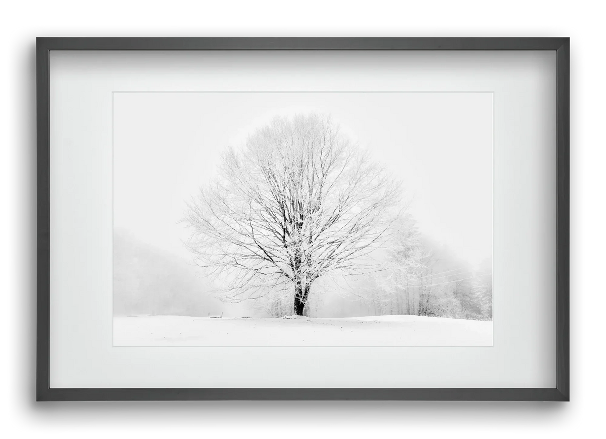 CONTRAST - artbridge