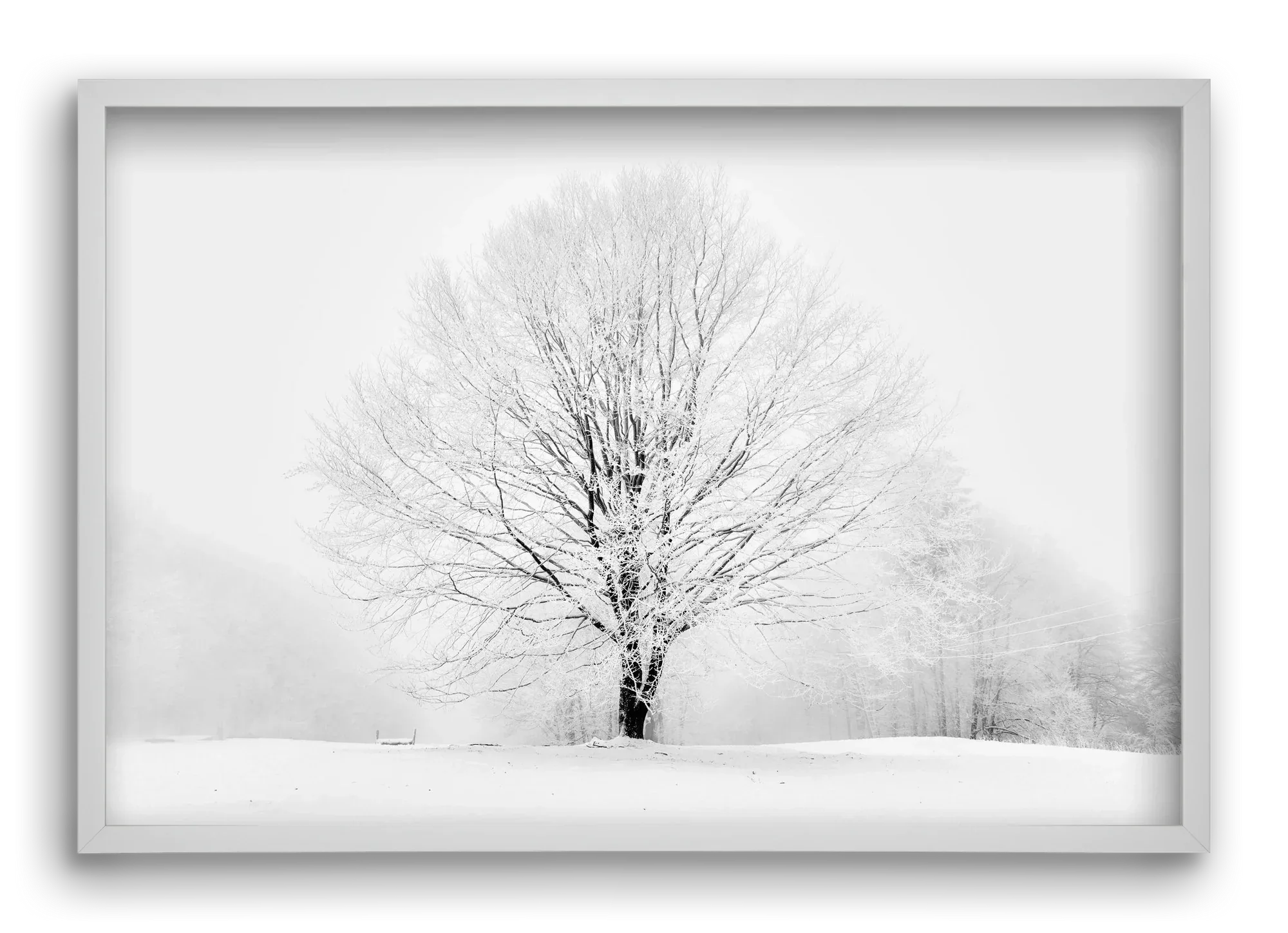 CONTRAST - artbridge
