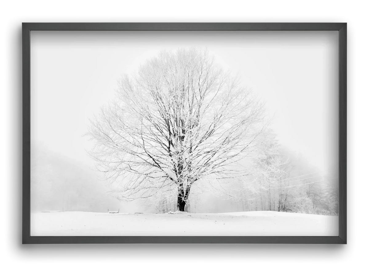CONTRAST - artbridge