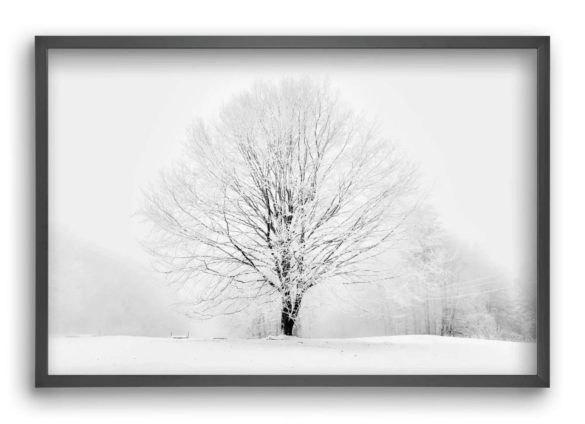 CONTRAST - artbridge