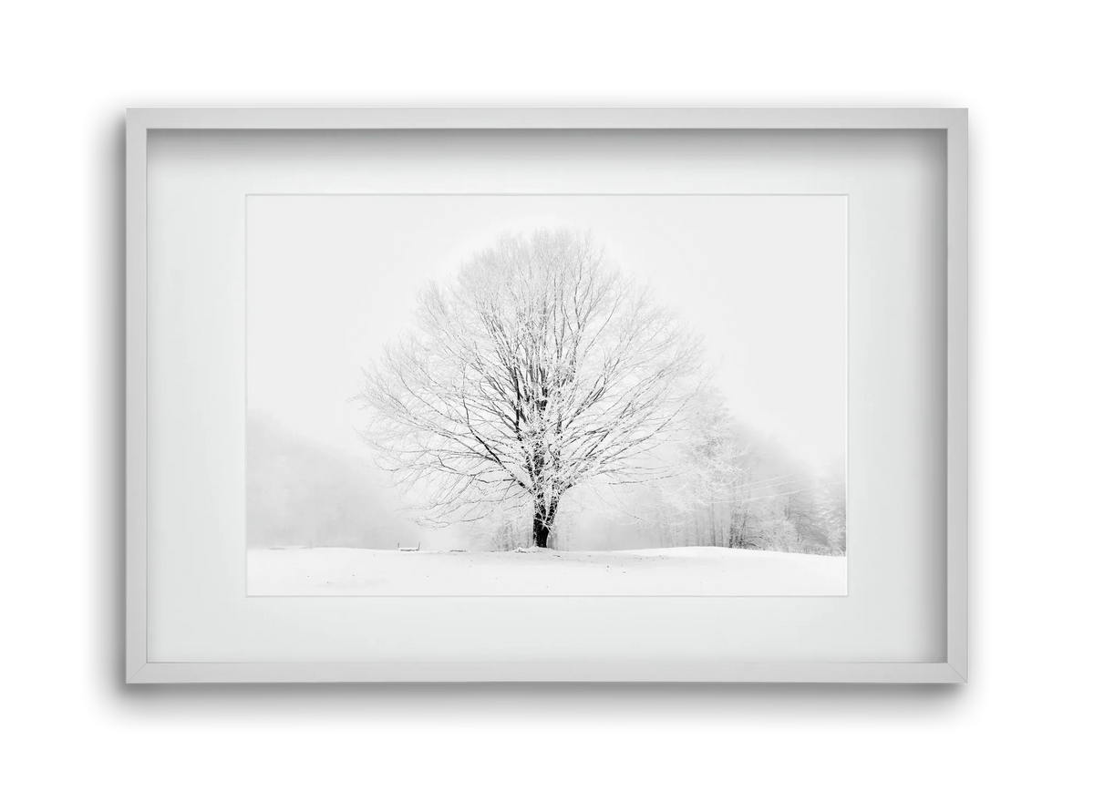 CONTRAST - artbridge