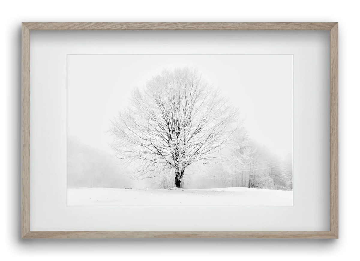 CONTRAST - artbridge
