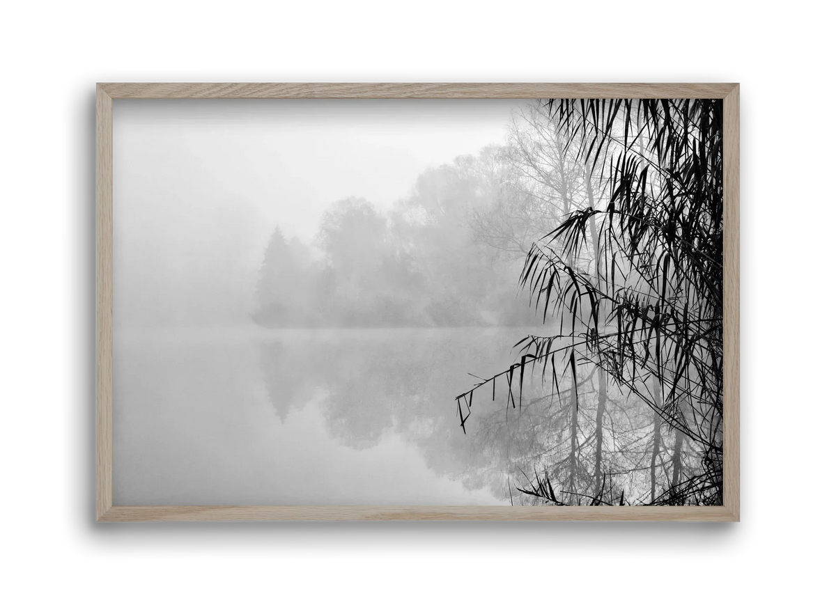 Incognito dual - artbridge