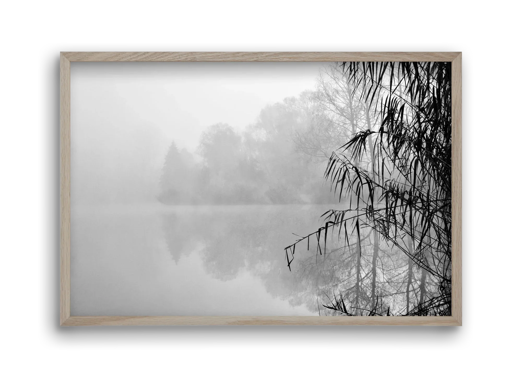 Incognito dual - artbridge