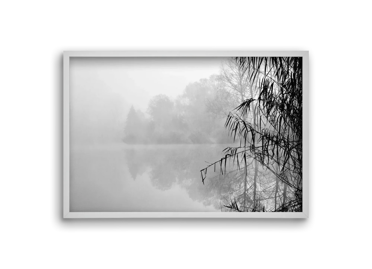 Incognito dual - artbridge
