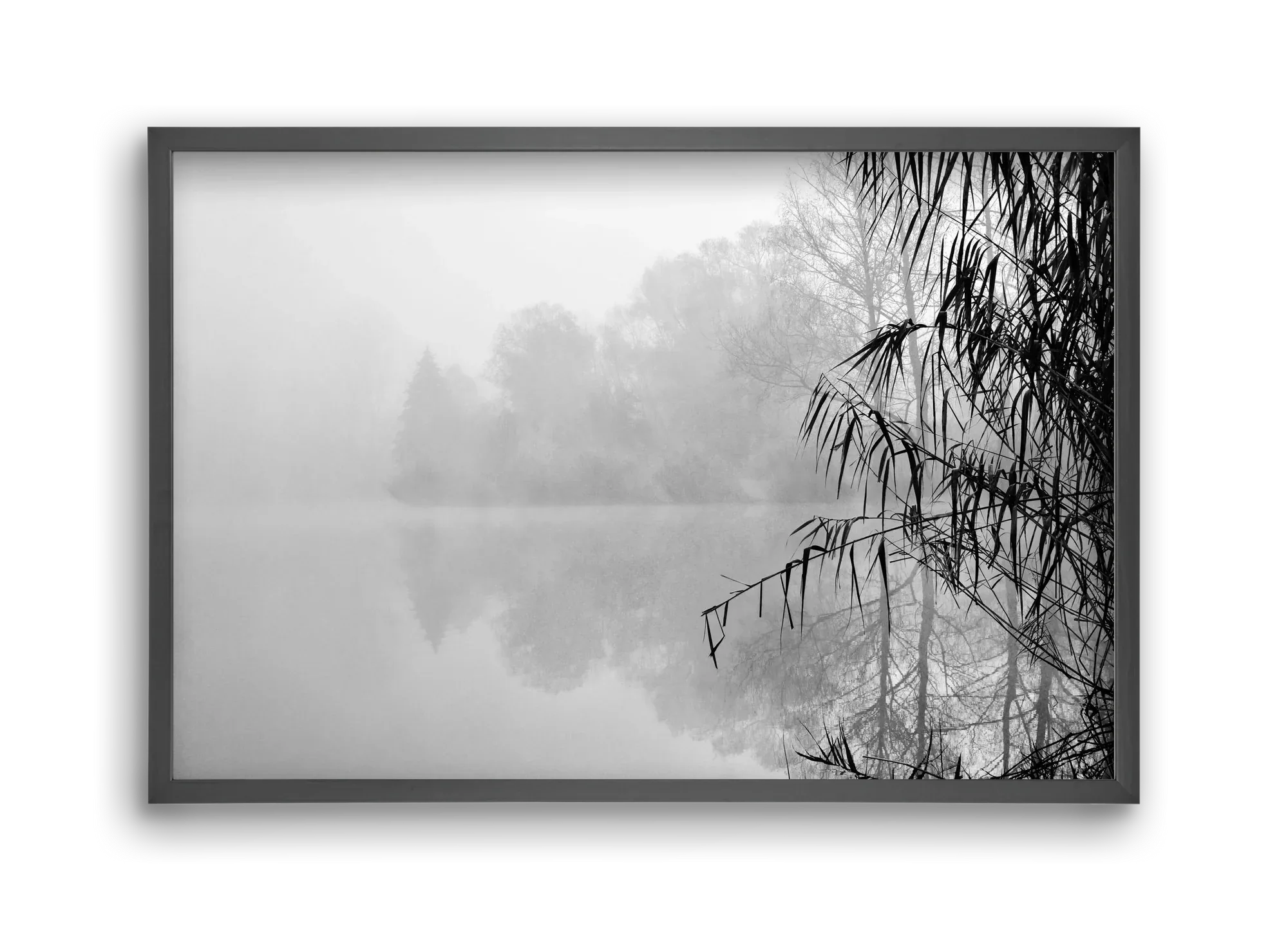 Incognito dual - artbridge