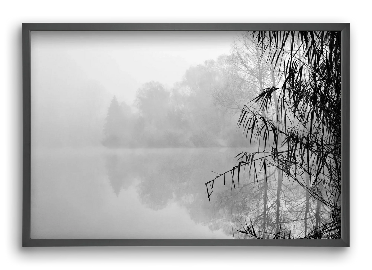 Incognito dual - artbridge