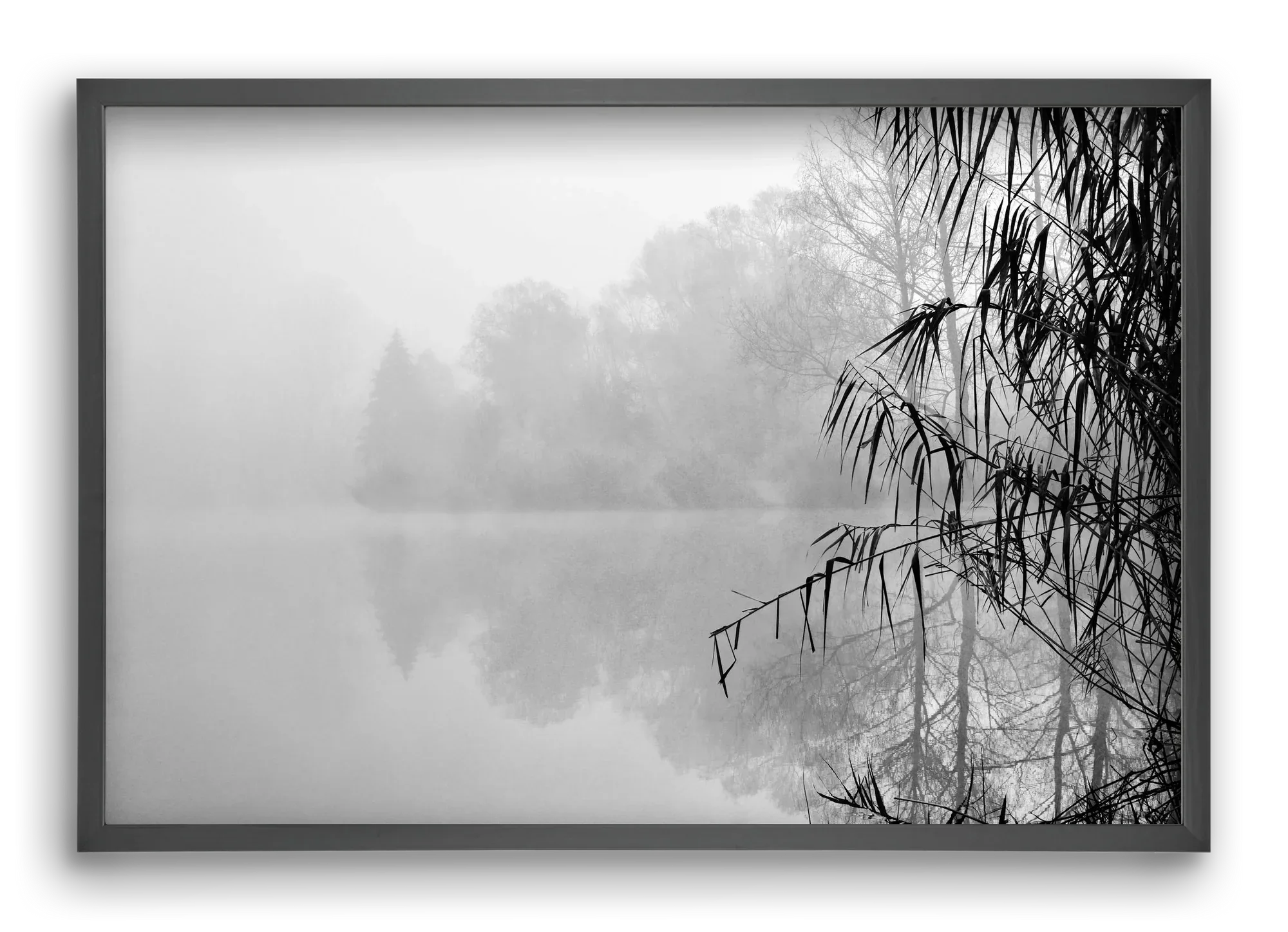 Incognito dual - artbridge