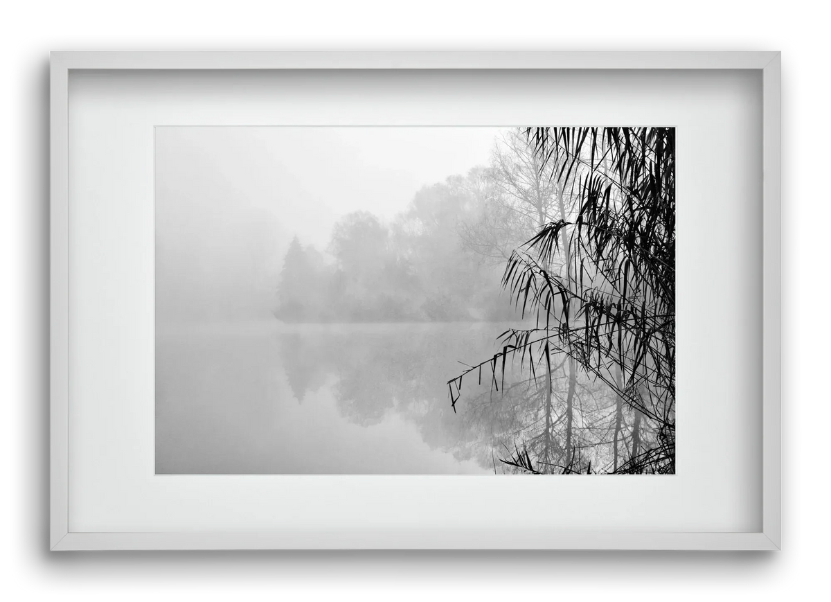 Incognito dual - artbridge