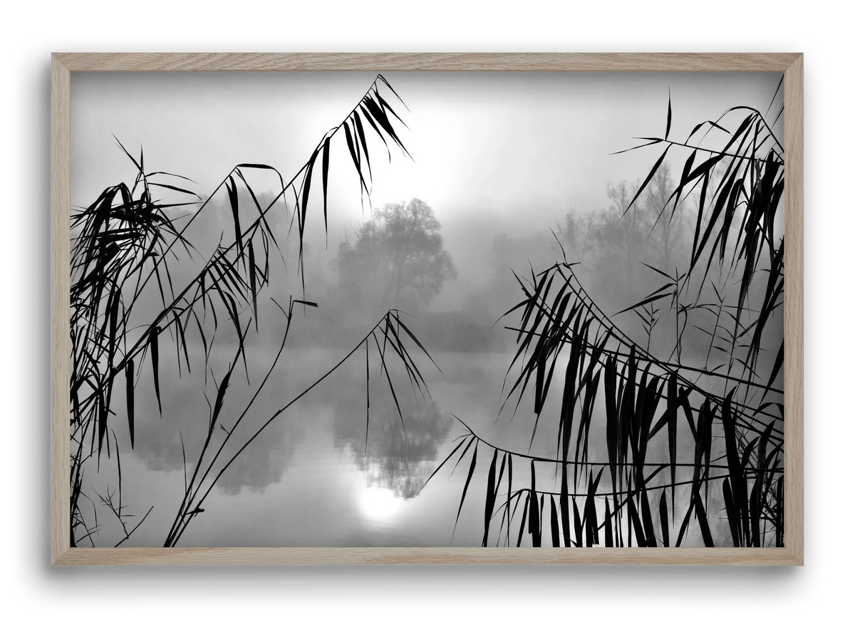 Cloud-land - artbridge