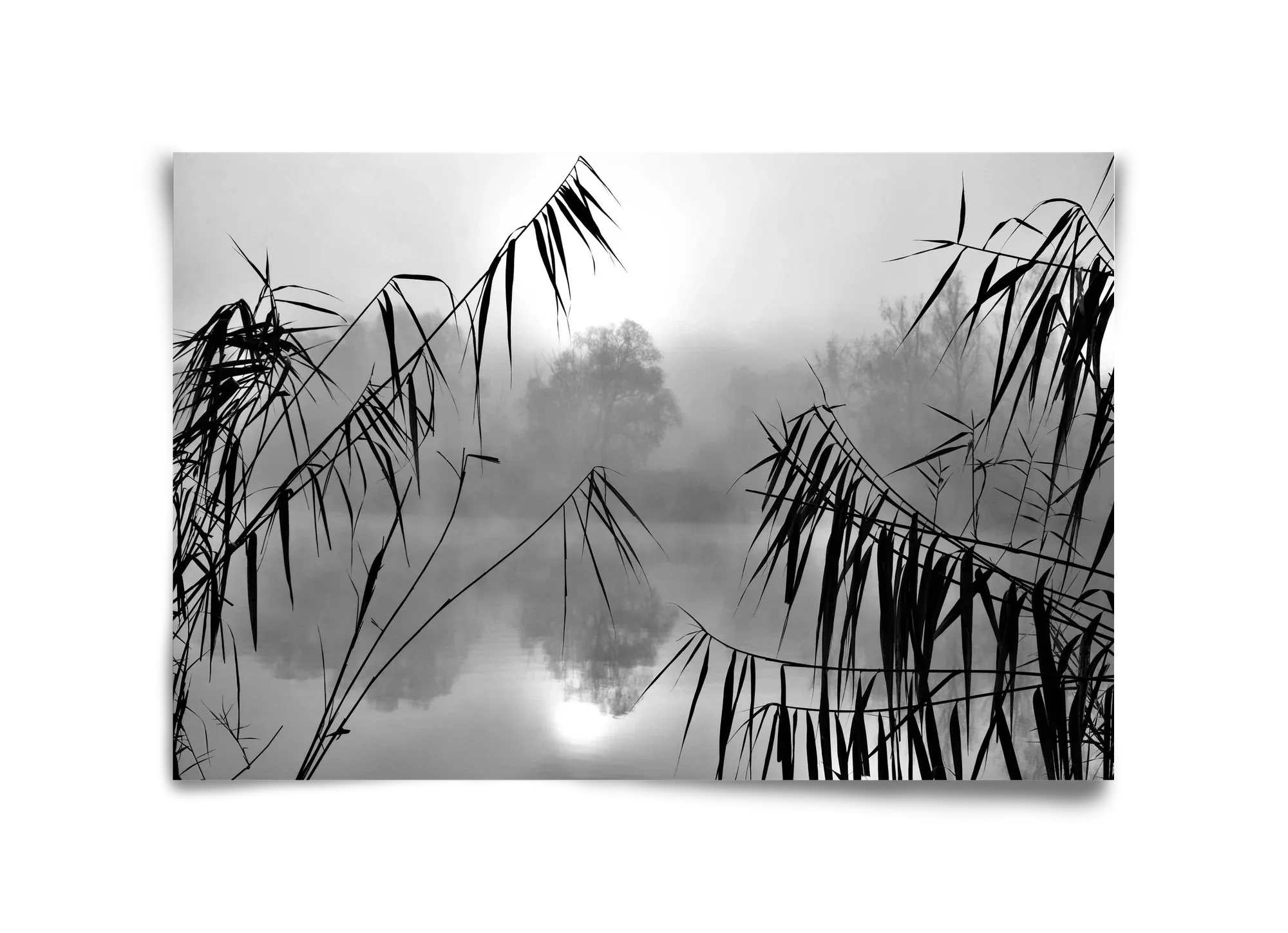 Cloud-land - artbridge