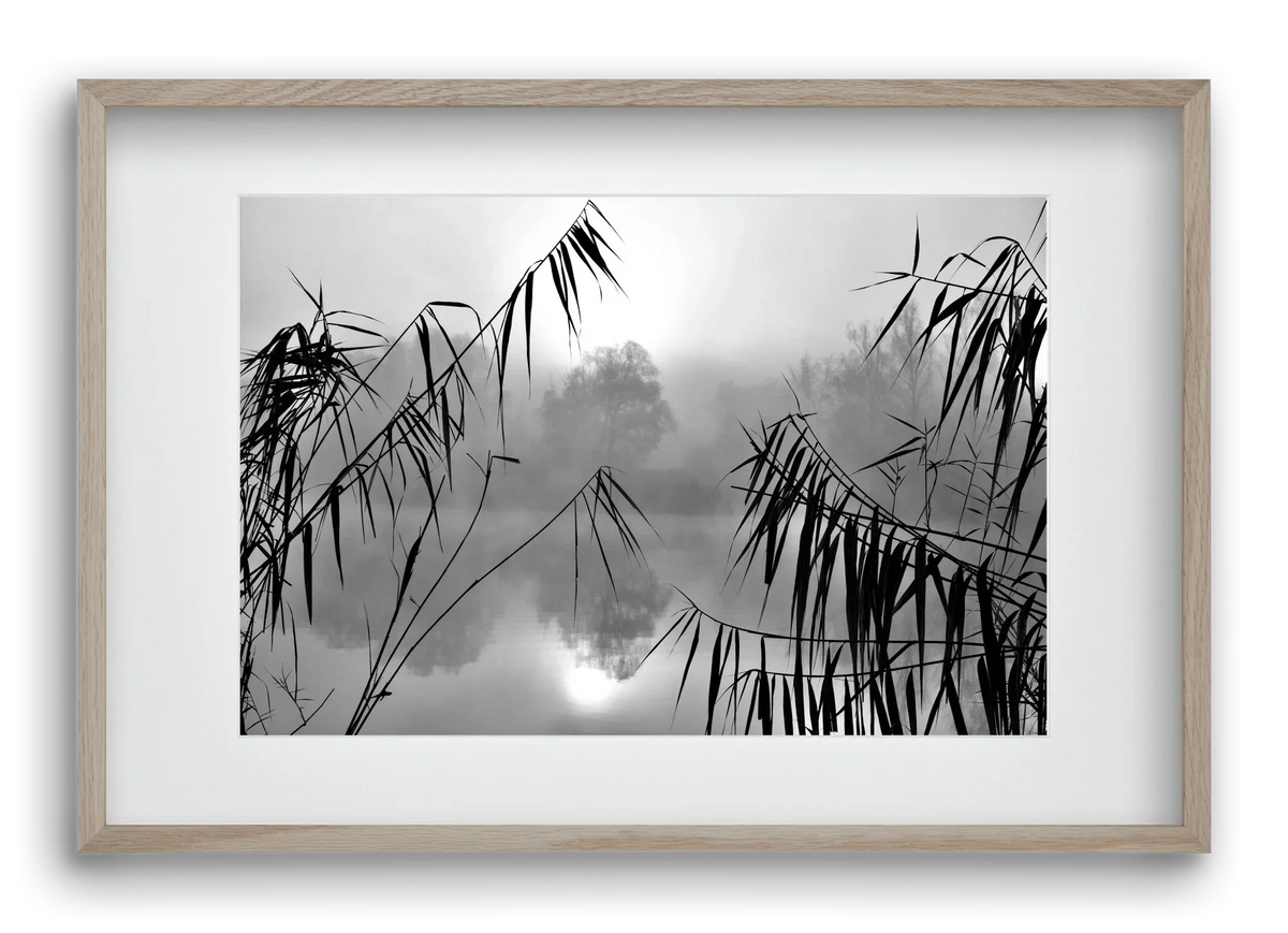 Cloud-land - artbridge