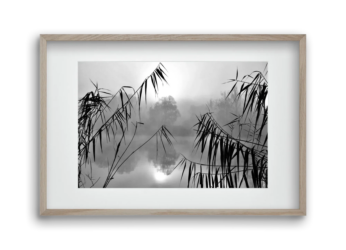 Cloud-land - artbridge
