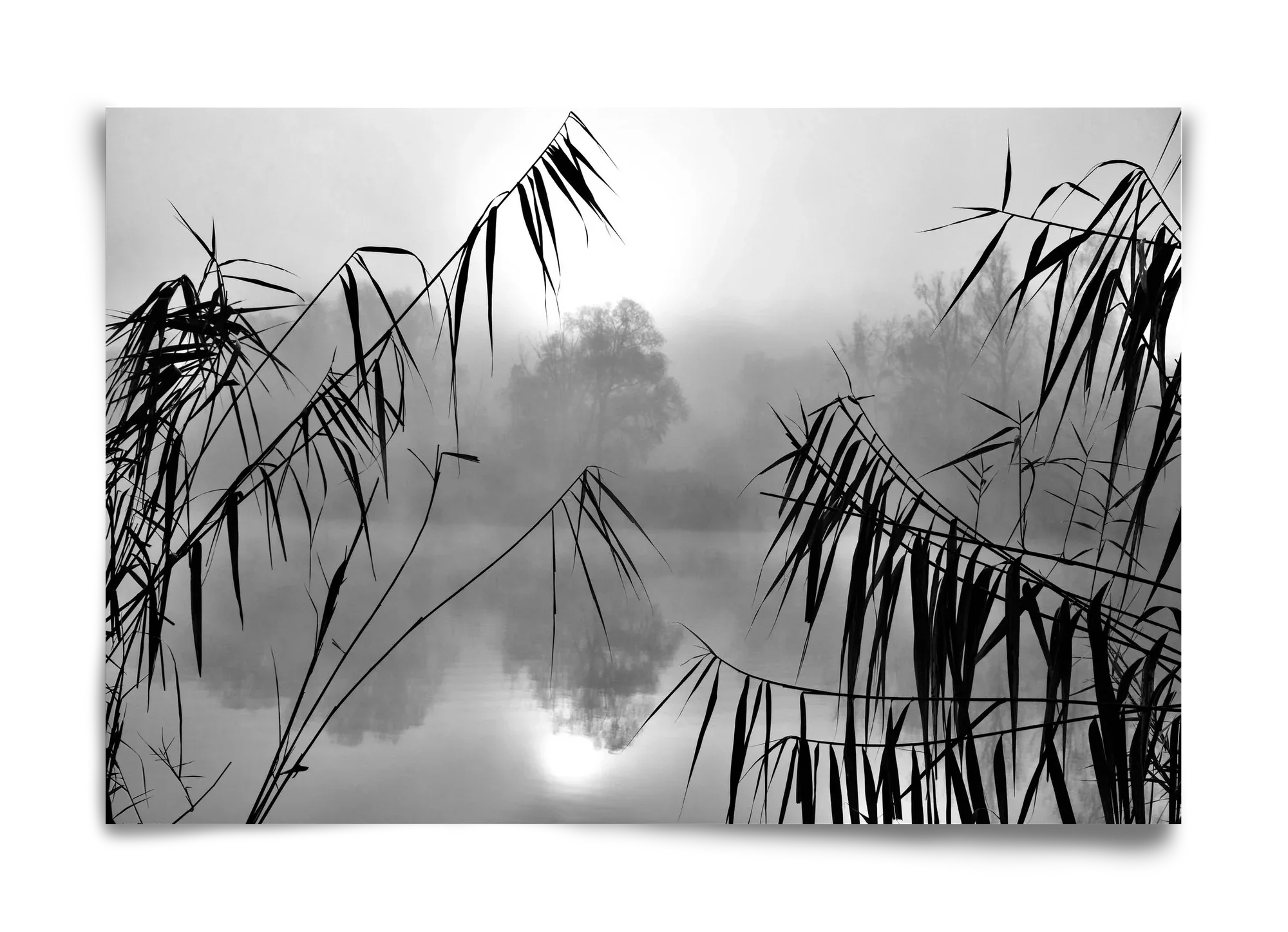 Cloud-land - artbridge