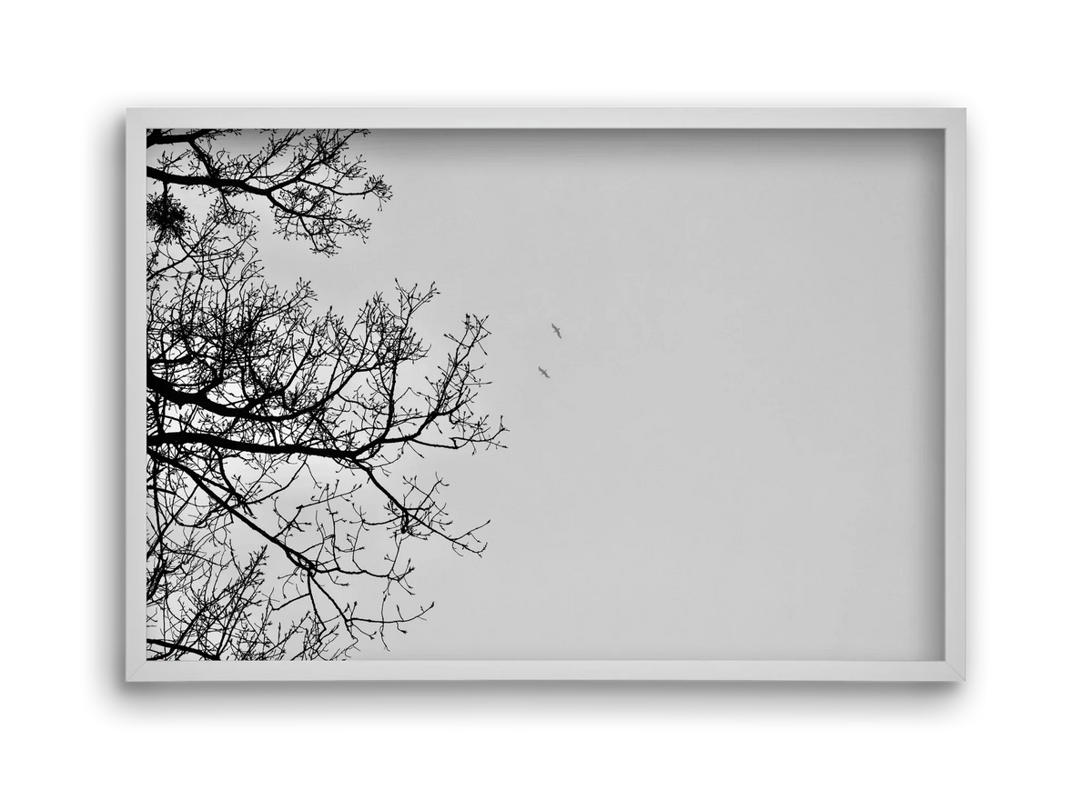 Living balance - artbridge