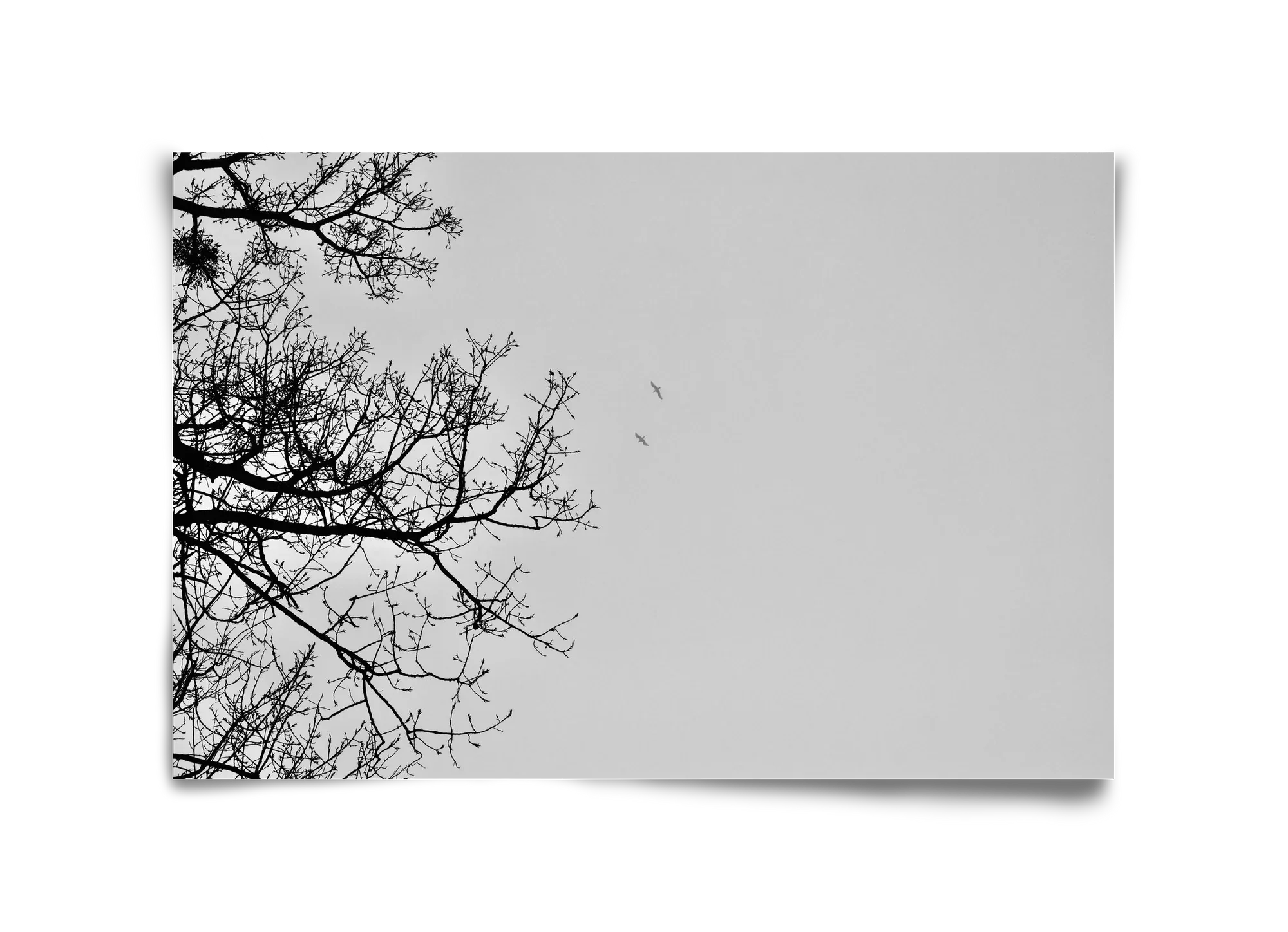Living balance - artbridge