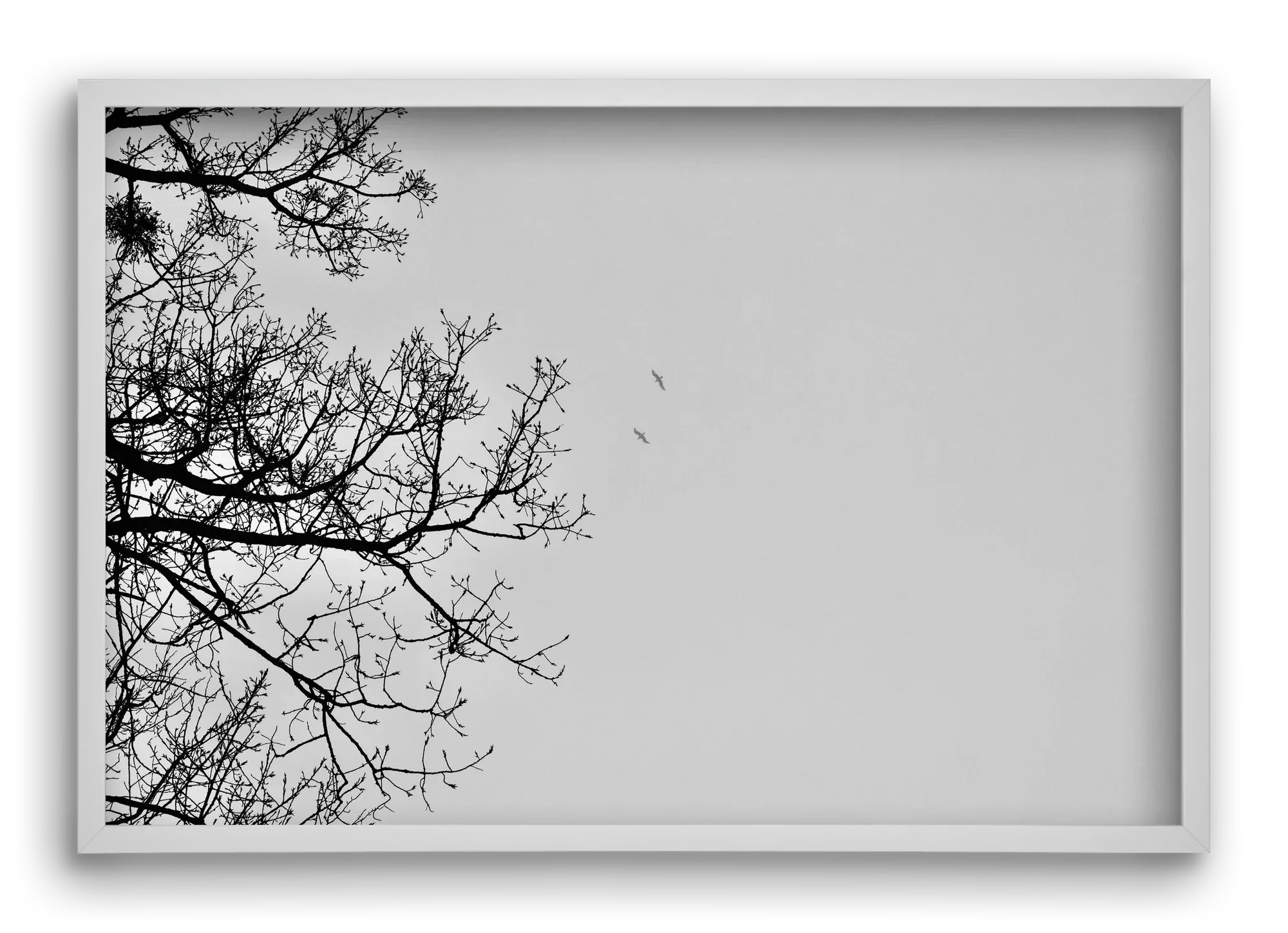 Living balance - artbridge