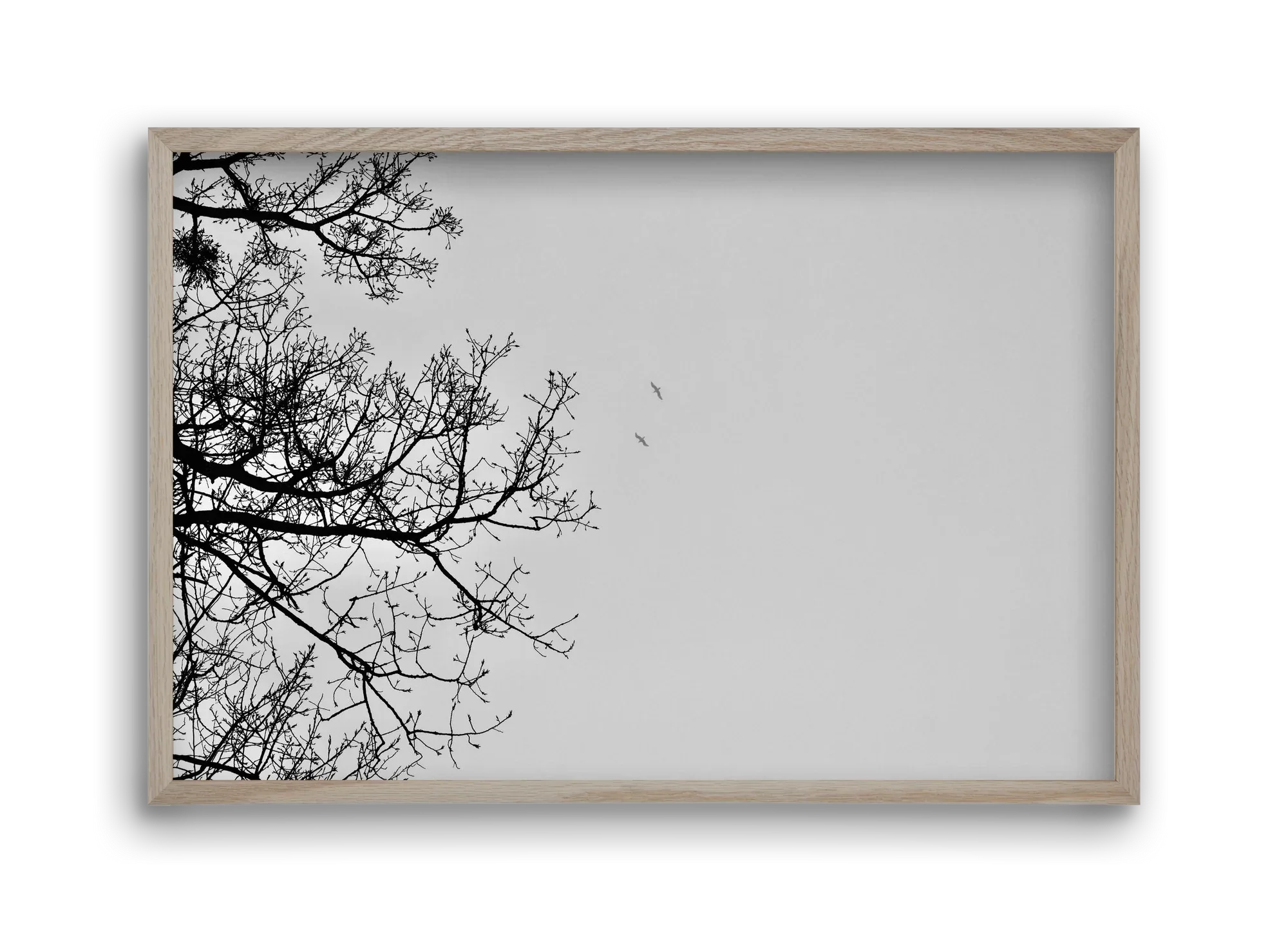 Living balance - artbridge
