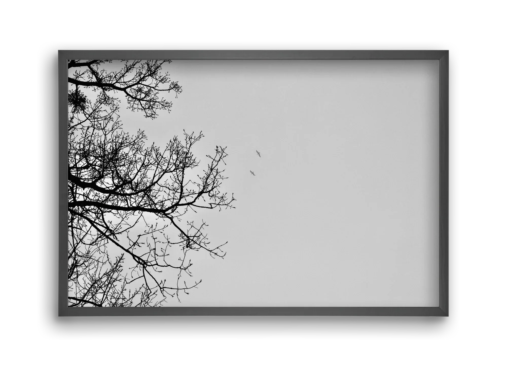 Living balance - artbridge