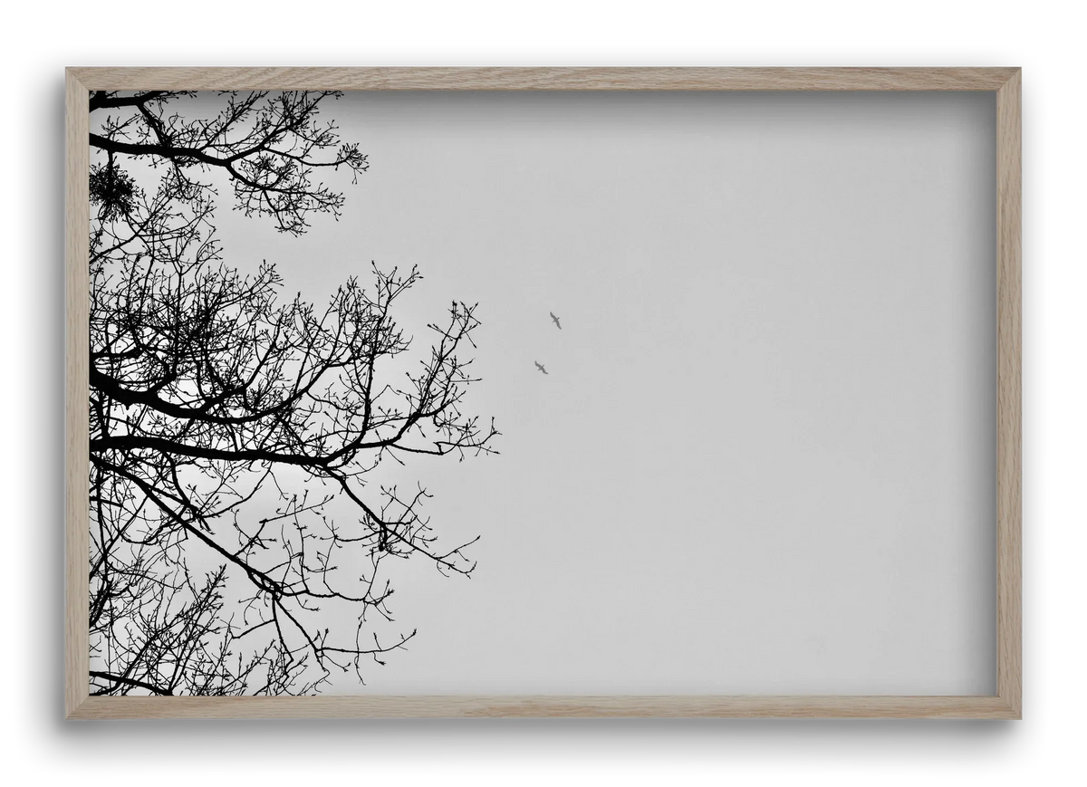 Living balance - artbridge