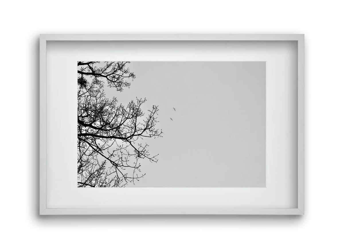 Living balance - artbridge
