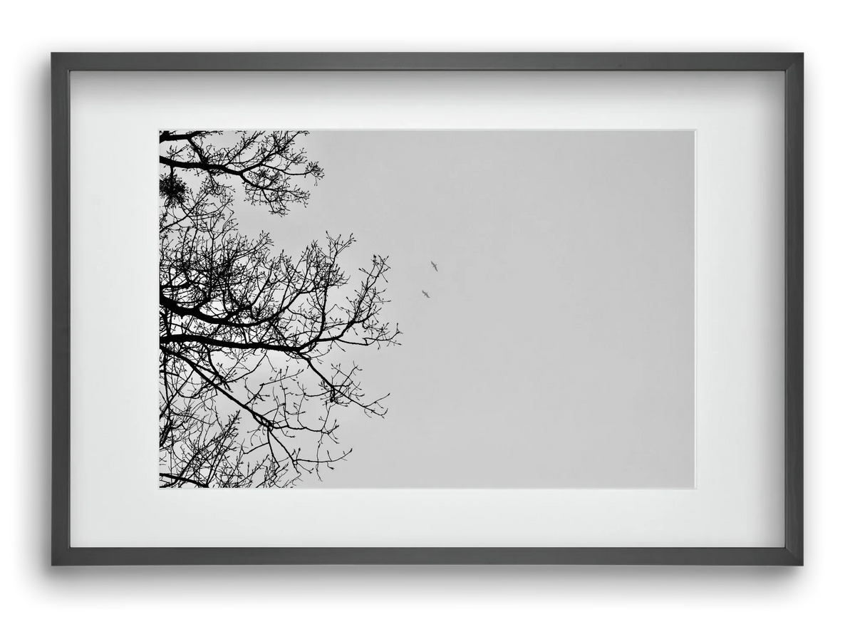 Living balance - artbridge