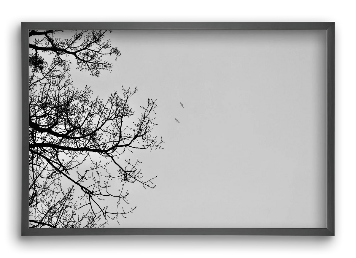Living balance - artbridge