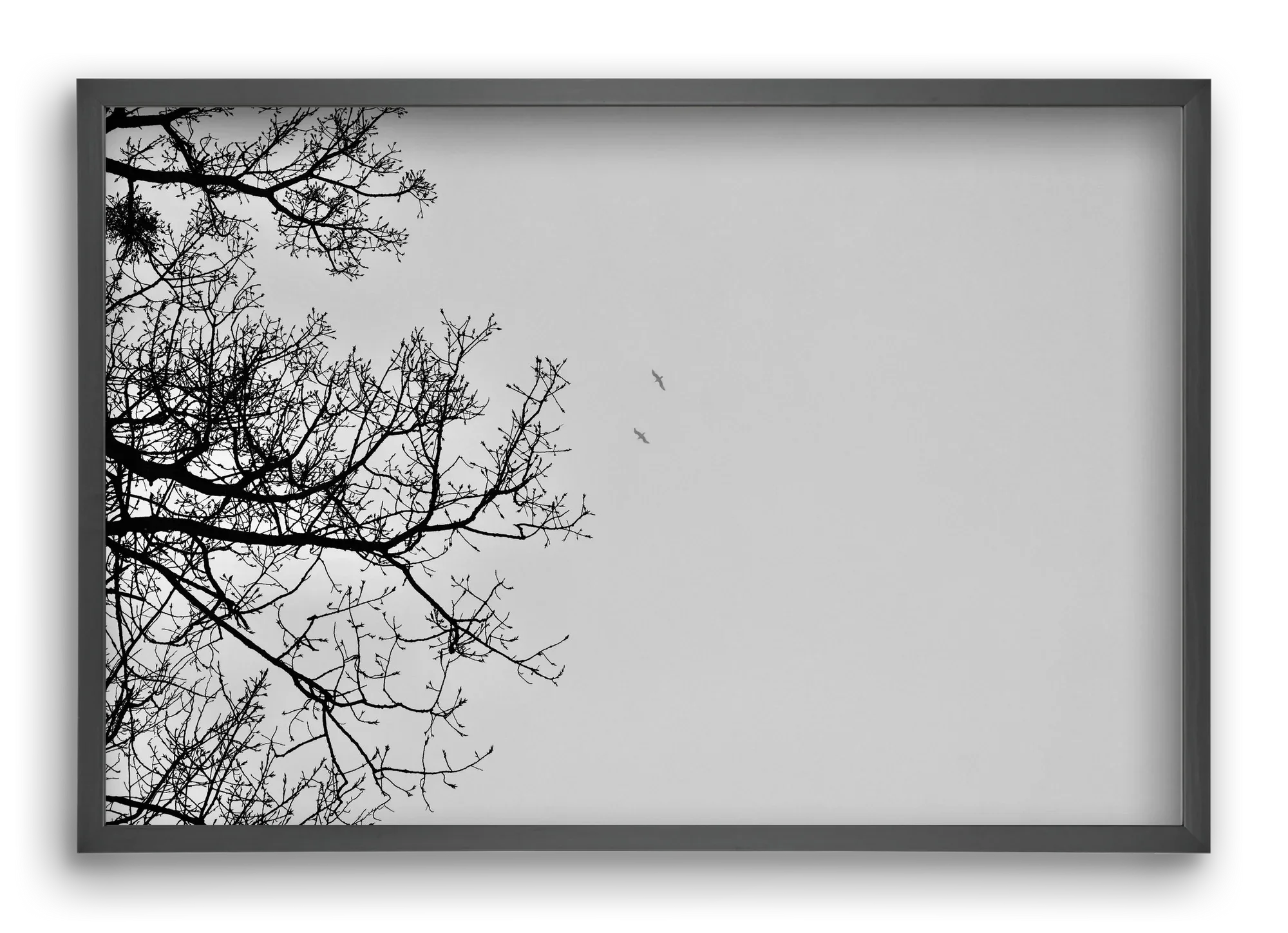 Living balance - artbridge