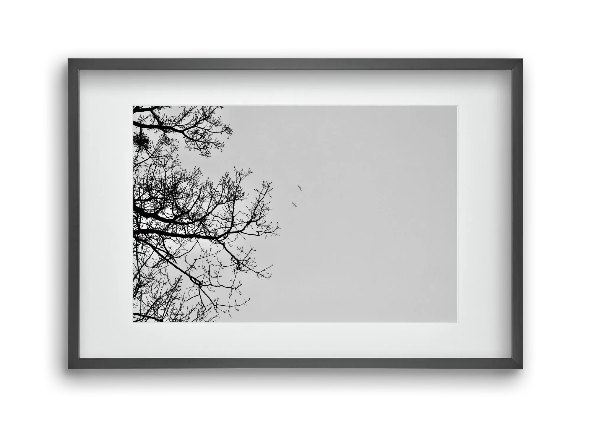 Living balance - artbridge