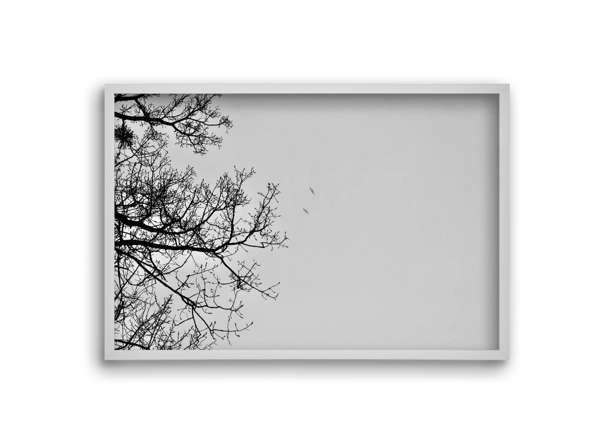 Living balance - artbridge