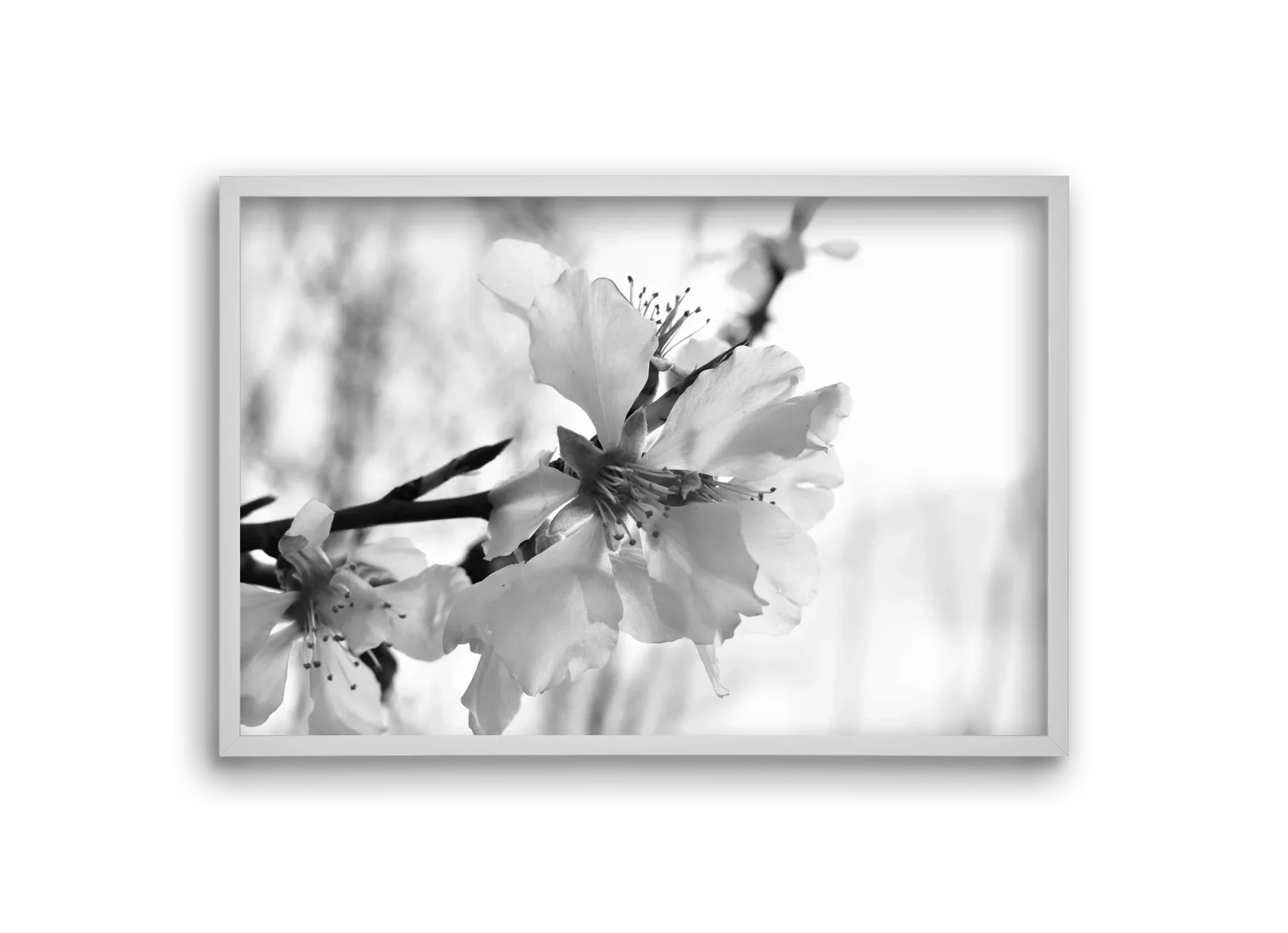 White-handed - artbridge