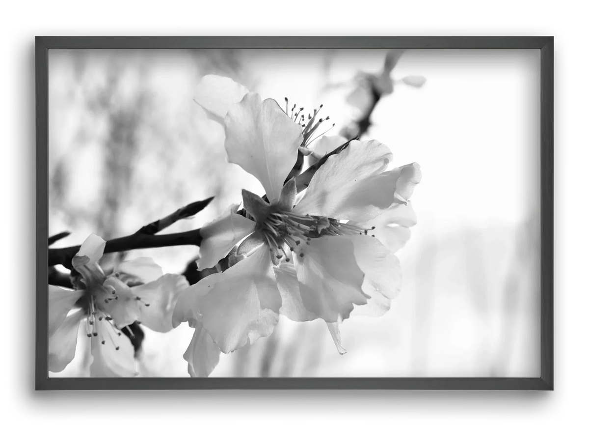 White-handed - artbridge
