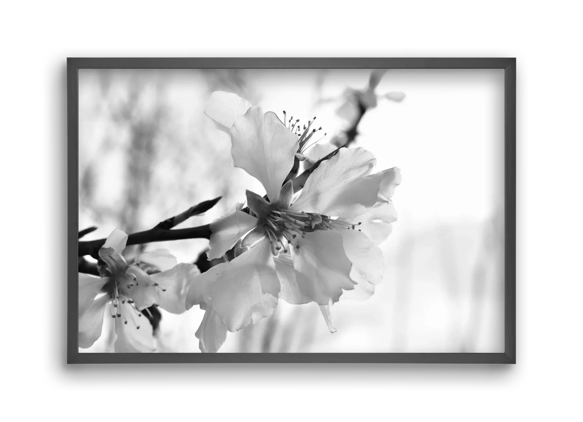 White-handed - artbridge