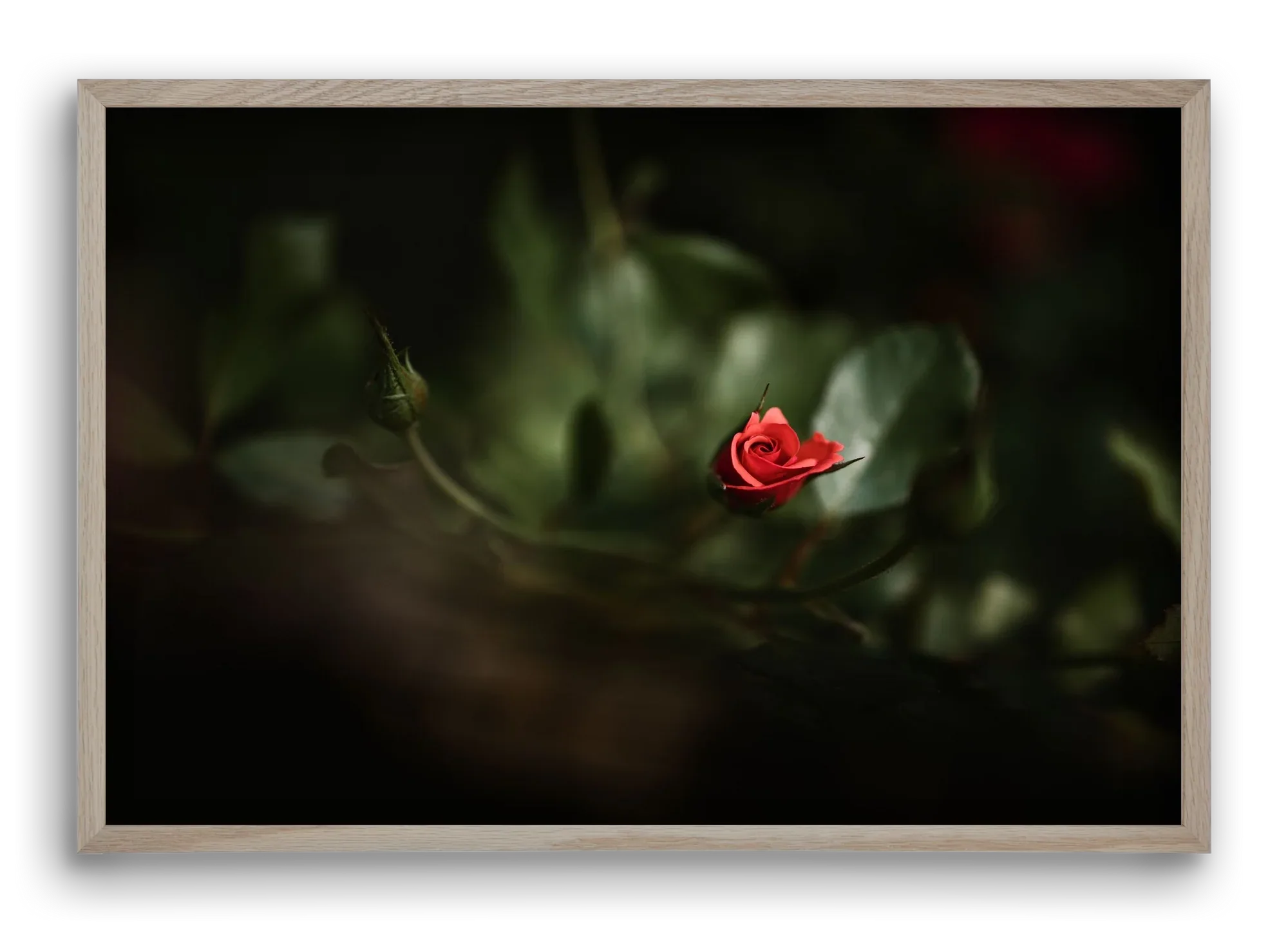 RISING - artbridge
