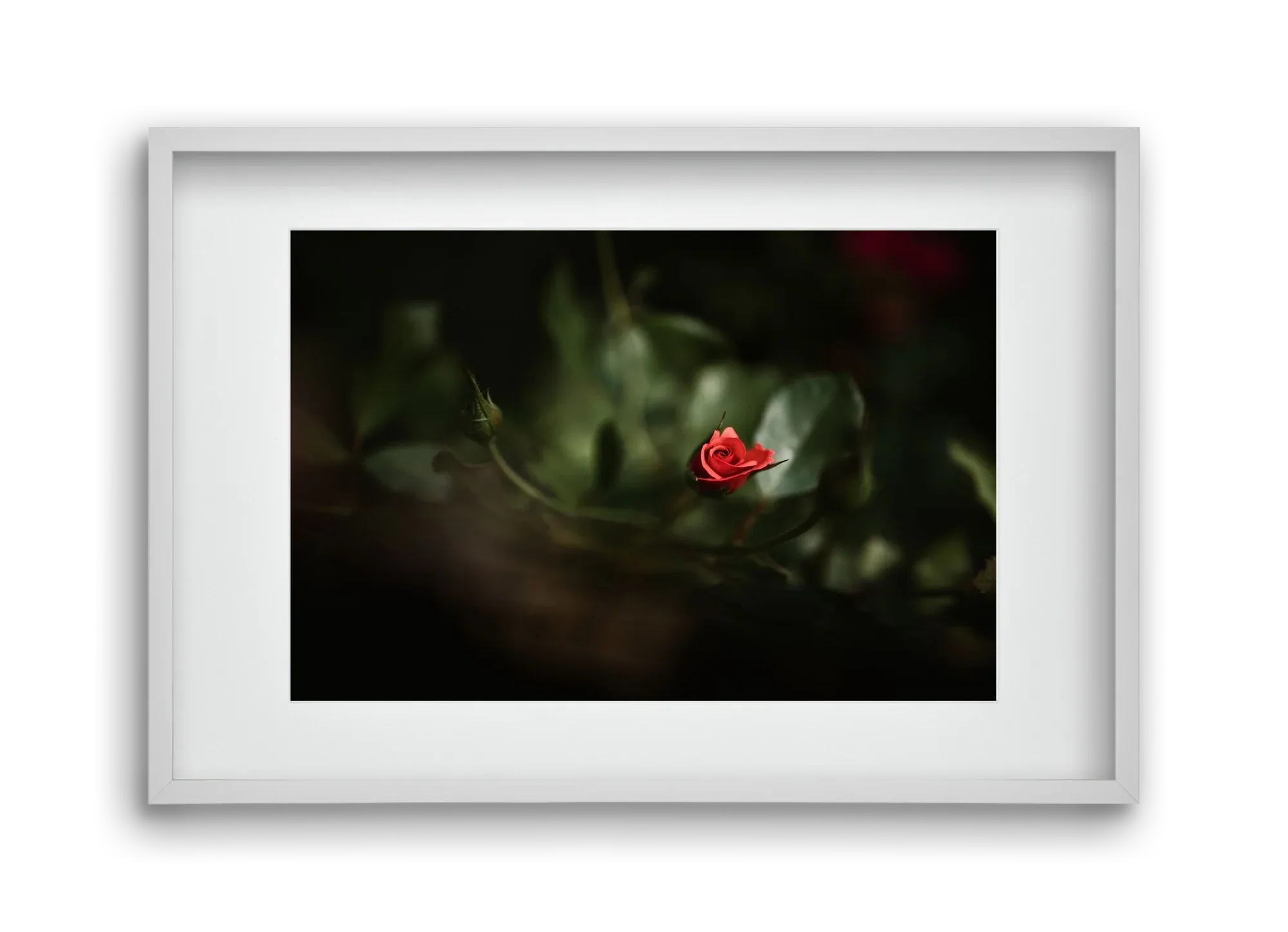 RISING - artbridge