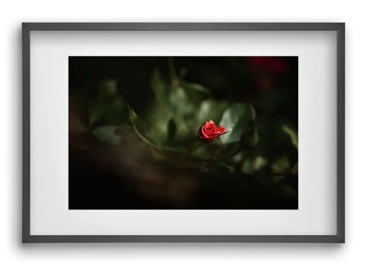 RISING - artbridge