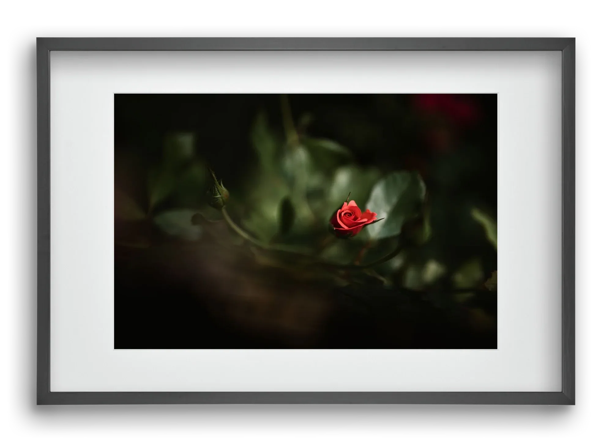 RISING - artbridge