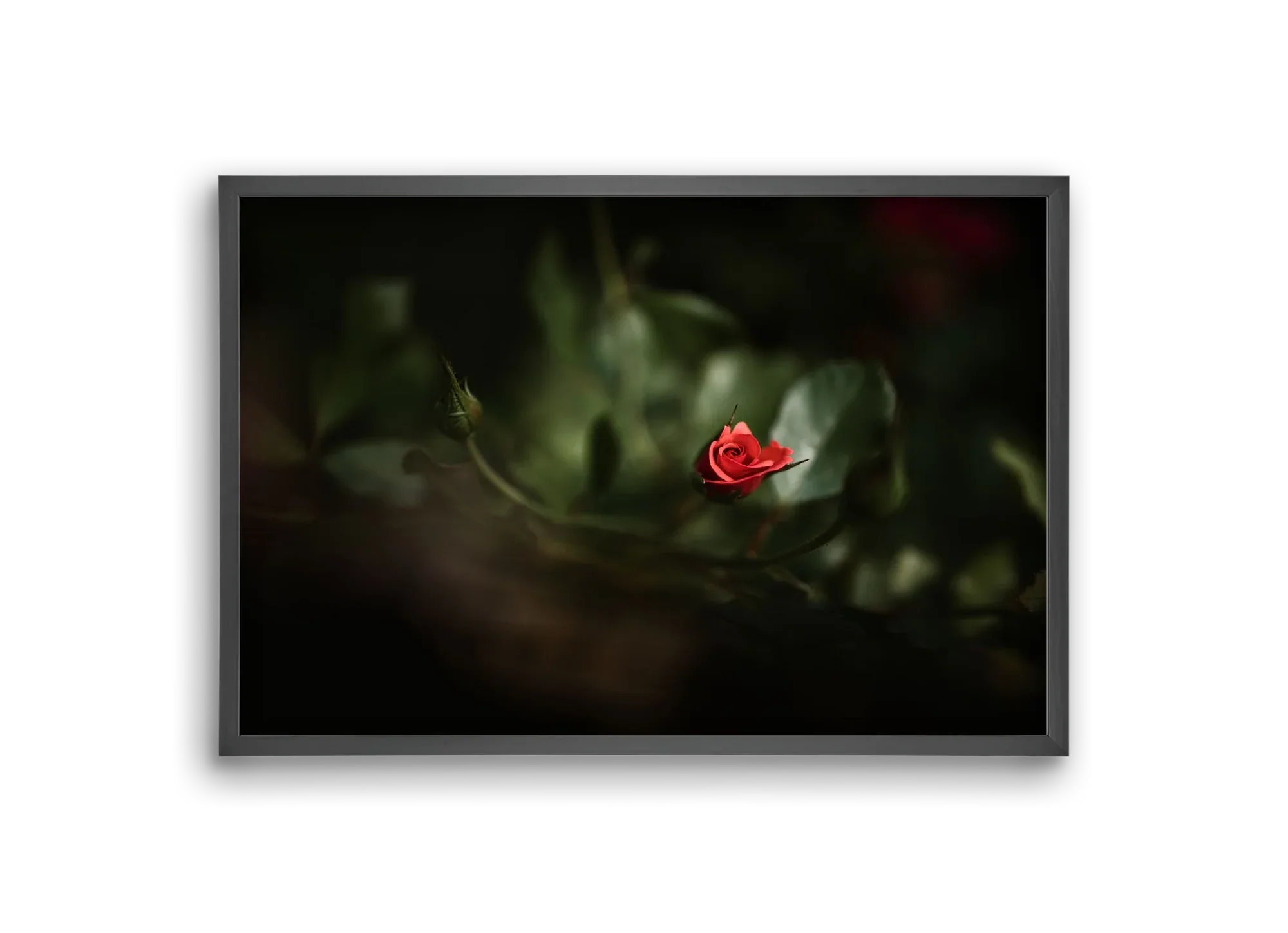 RISING - artbridge