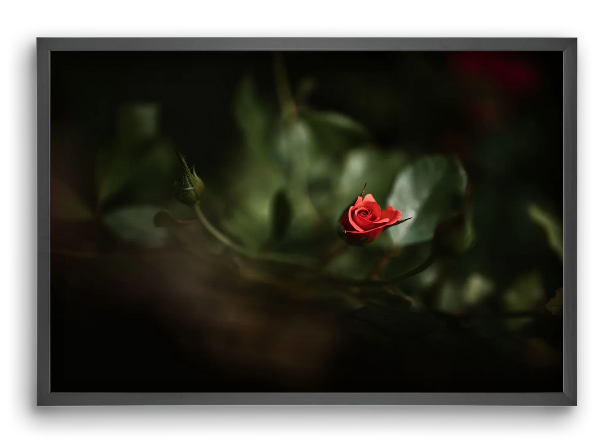 RISING - artbridge
