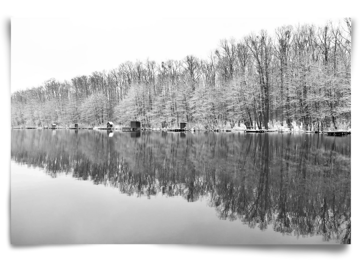 snowflake landscape - artbridge