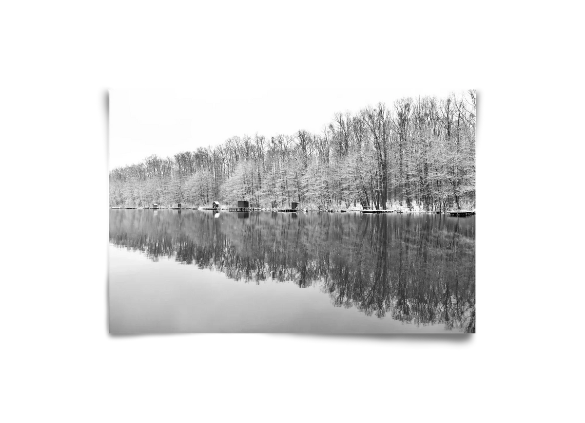 snowflake landscape - artbridge