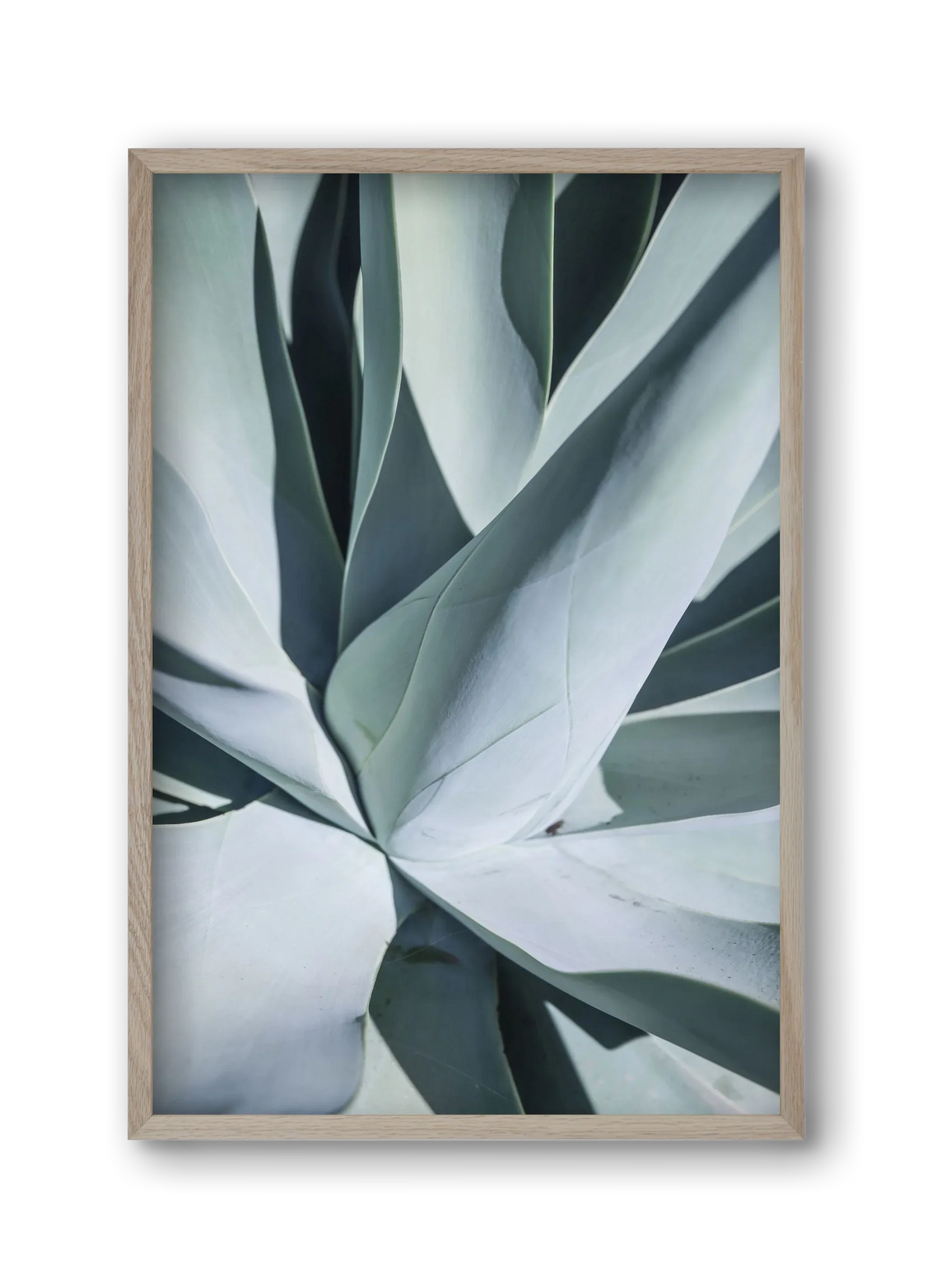 Aqua Cactus - artbridge