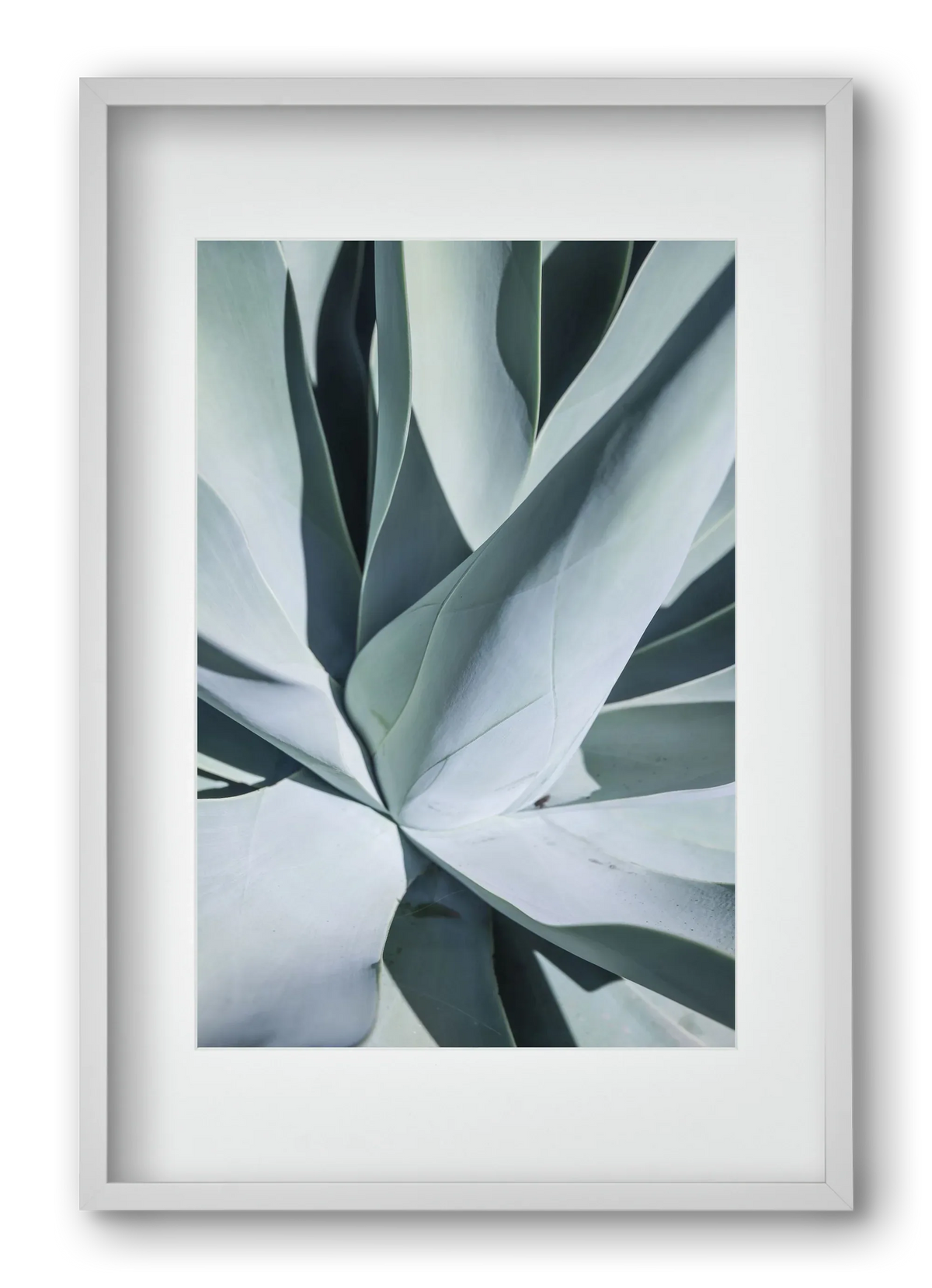 Aqua Cactus - artbridge
