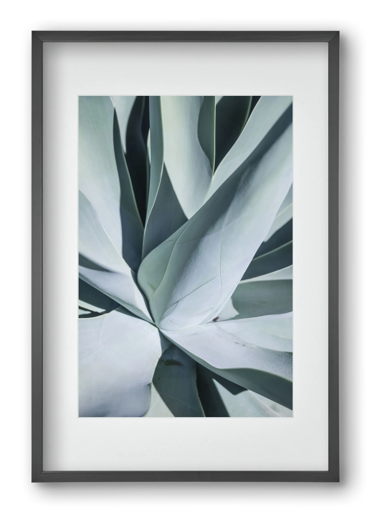 Aqua Cactus - artbridge