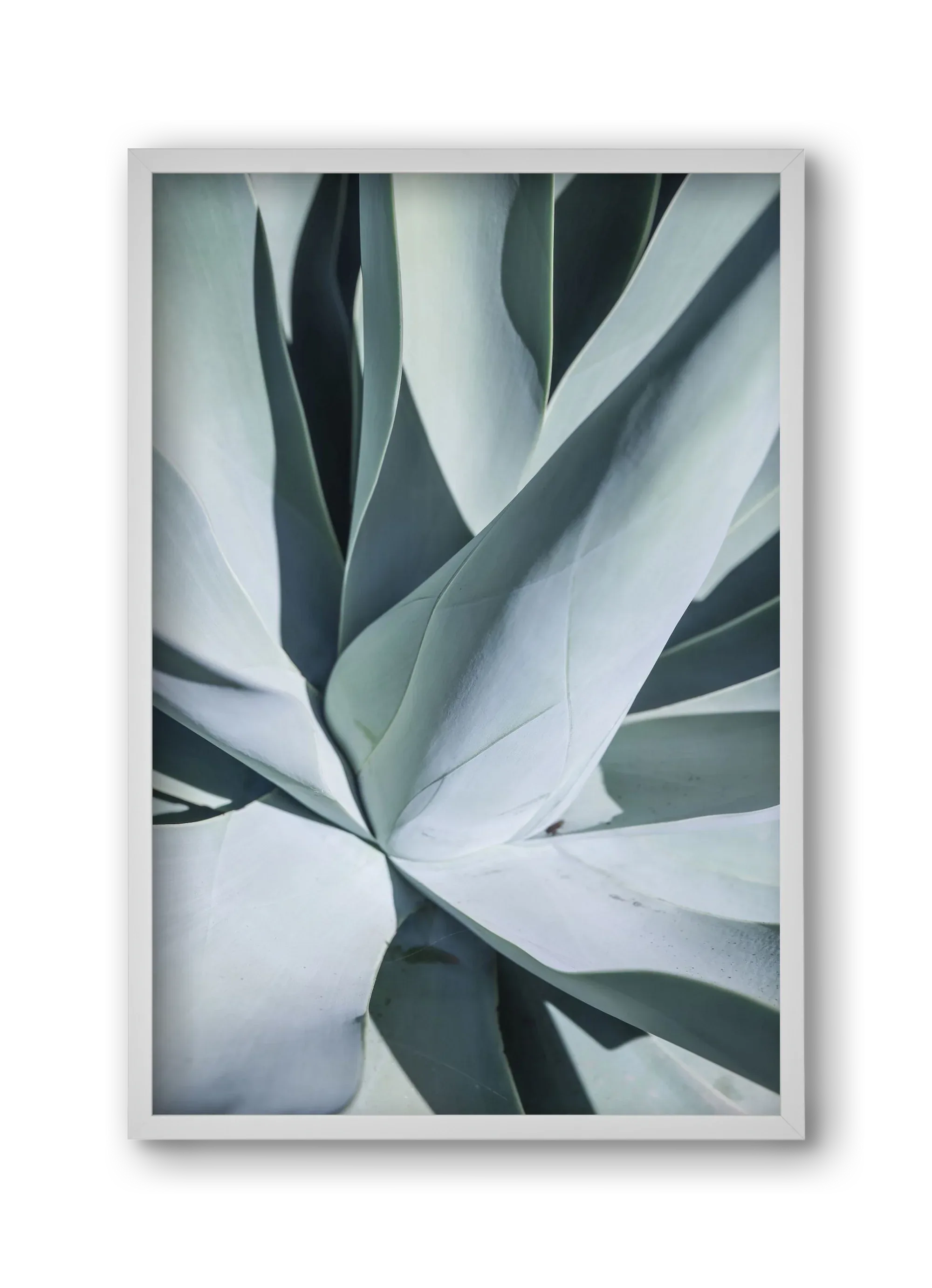 Aqua Cactus - artbridge