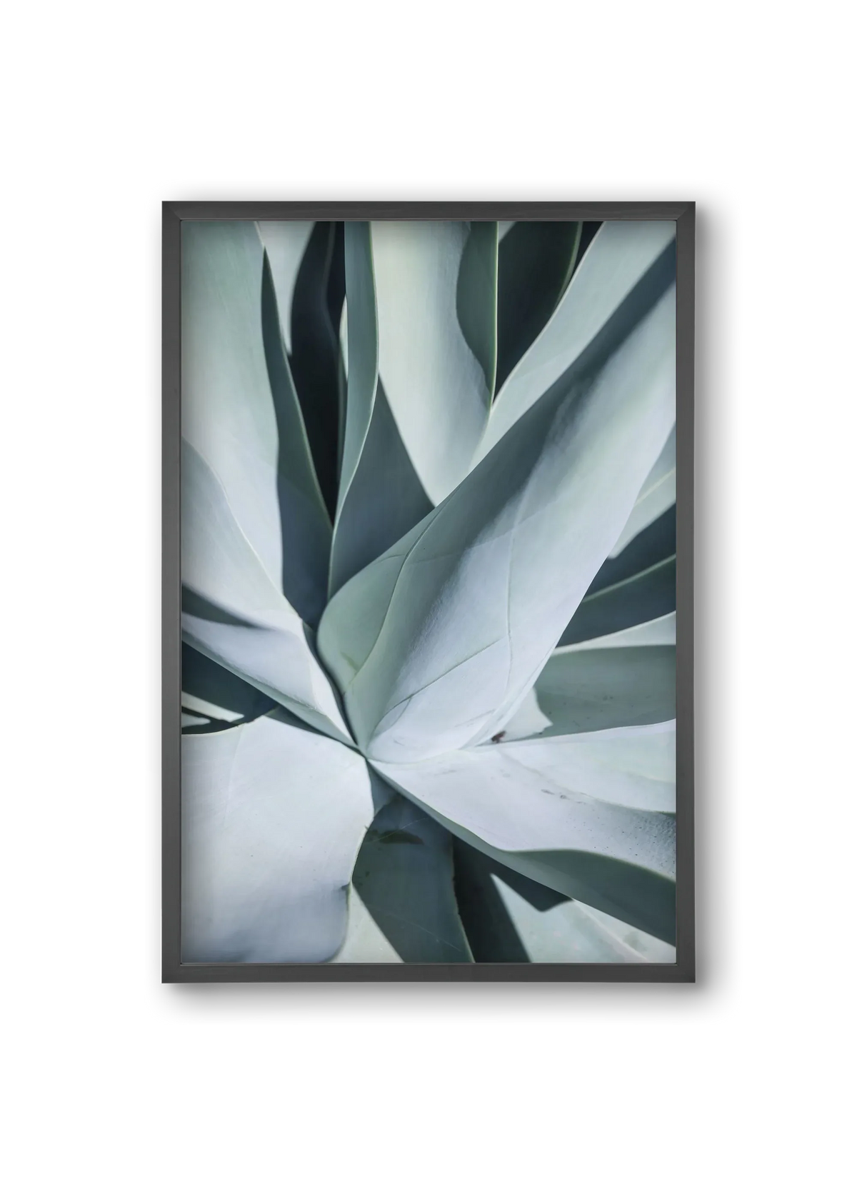 Aqua Cactus - artbridge