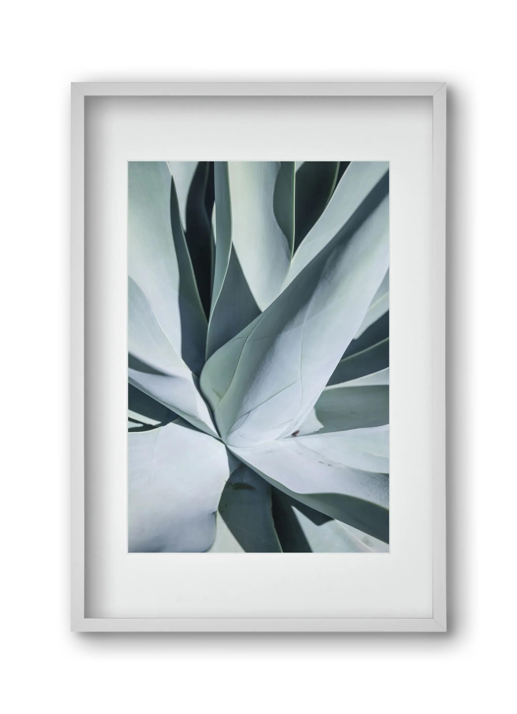 Aqua Cactus - artbridge