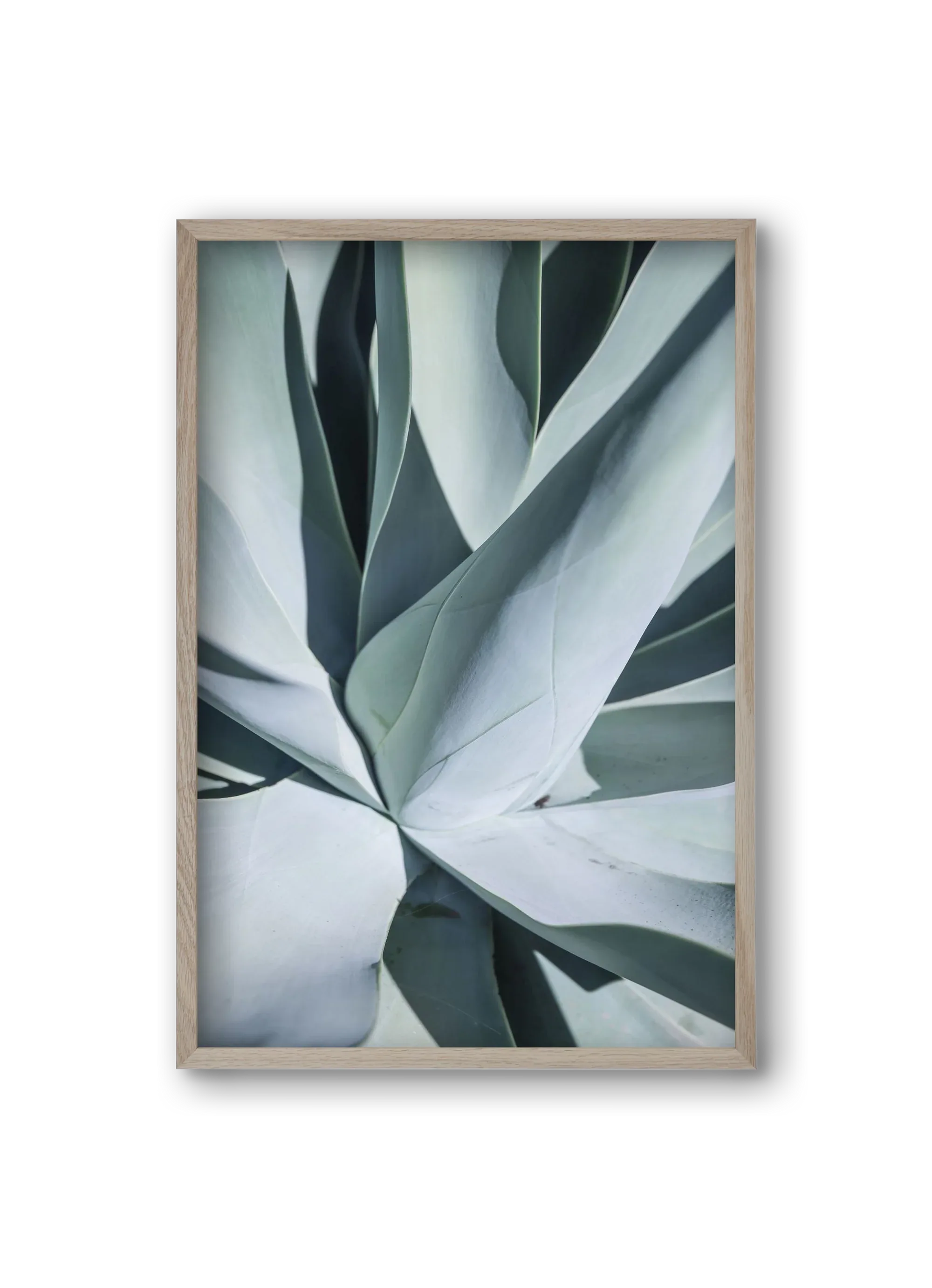 Aqua Cactus - artbridge